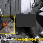 缅甸一男子接连捅自己14刀，自杀身亡-彩民之家-彩票策略-彩民交流网