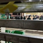 金边某公寓被突袭约186人被捕后续-彩民之家-彩票策略-彩民交流网